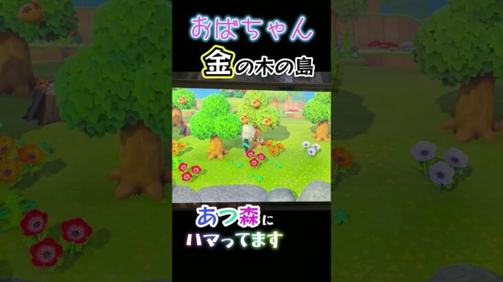 あつ森もやってました(^^)#あつ森 #金#かっぺい