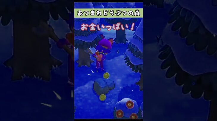 【#あつ森 】お金いっぱい！【#あつまれどうぶつの森 】