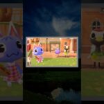 【あつ森】可愛いが詰まってる！