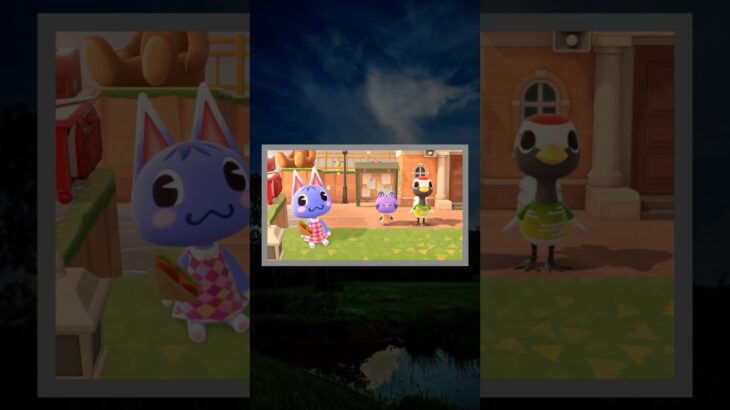 【あつ森】可愛いが詰まってる！