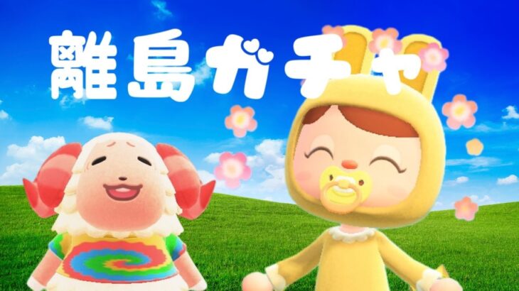 【あつ森】住民かぶったらスクワット！？　ちゃちゃまるイッテツ狙い離島ガチャ！｜ライブ【あつまれどうぶつの森】