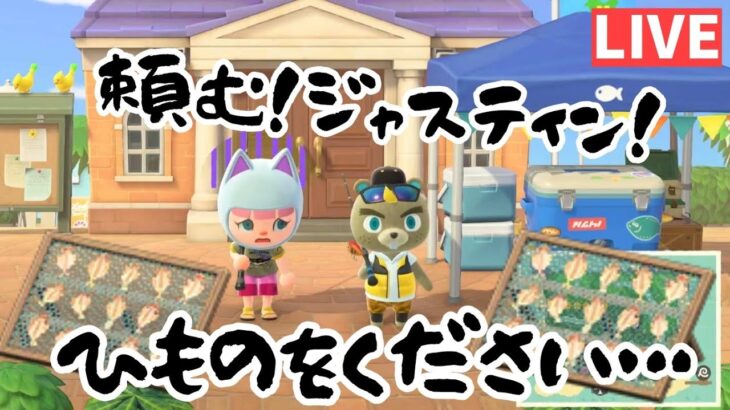 【あつ森】釣って！釣って！釣り大会！深夜のスローライフ作業配信！#あつ森 #あつまれどうぶつの森