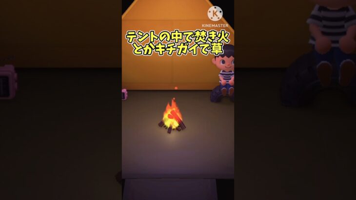 キャンプファイヤー。 #あつまれどうぶつの森 #あつ森 #どうぶつの森 #キャンプファイヤー #進撃の巨人 #ゆっくり実況 #ゆっくり #ドリフ #頭が空っぽ #時代遅れ #ファンに配慮しないあつ森