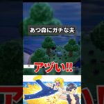 【あつ森】脳汁出た