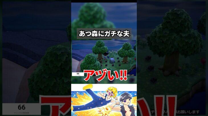 【あつ森】脳汁出た