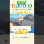 【あつ森】はじめての魚釣り大会に大忙し!!🎣#あつまれどうぶつの森