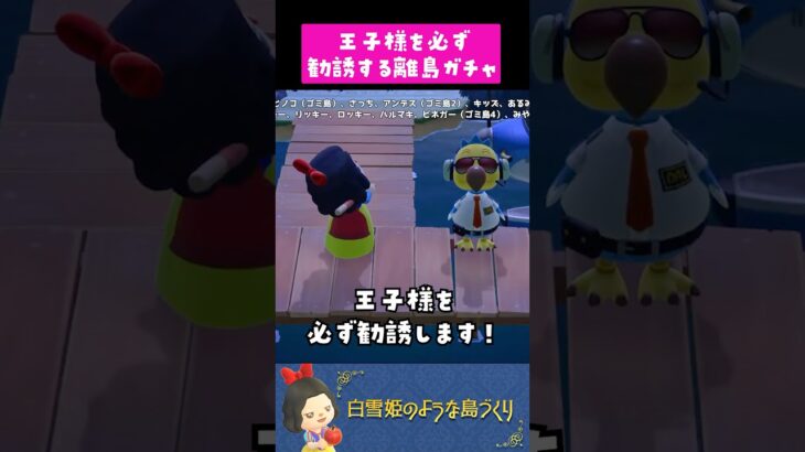 【あつ森】王子様を必ず勧誘する離島ガチャをすると…？！ #あつまれどうぶつの森 #離島ガチャ