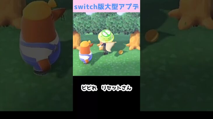 【あつ森】　ビビれ　リセットさん