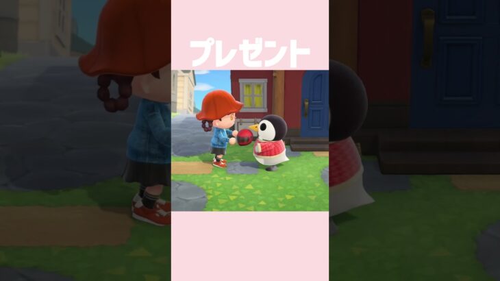 [あつ森]オーロラちゃんを乗せて海岸をドライブしたいと思います🏍🏝️ #あつまれどうぶつの森