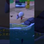 あつ森楽しい！ #人気になりたい #ばずれ #オオゴンオニクワガタ#ヘラクレスオオカブト #あつ森