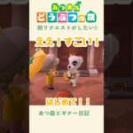 【あつ森】とたけけさんに初リクエスト！🎸#あつまれどうぶつの森