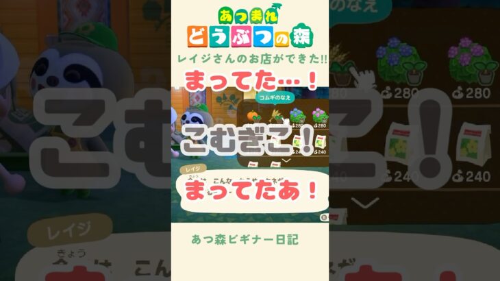 【あつ森】待望のこむぎこ！！！！！🌾#あつまれどうぶつの森