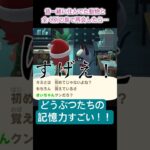 動物たちの記憶力は如何⁉︎[あつ森]