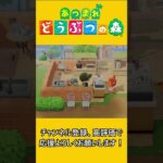 どうぶつの森の世界だから許されること【あつ森】 #あつ森 #あつまれどうぶつの森 #ゲーム実況