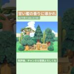 【あつ森】甘い蜜の香りに導かれ 蜂が守護する森に辿り着く🌳🌵🐝🍯#あつ森 #あつまれどうぶつの森 #島クリエイト