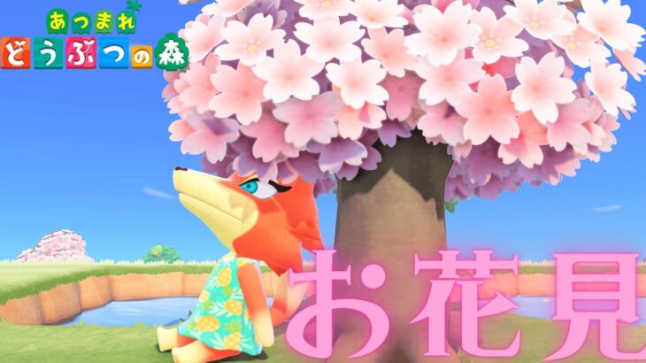 【あつ森】朝活やってくで～【雑談配信】