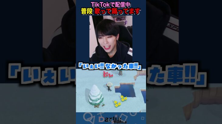 鶴亀算って習うんだっけそもそも…  #あつ森 #ゲーム実況 #切り抜き