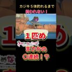 激レア魚まさかの連続釣り！#あつ森 #あつまれどうぶつの森 #カジキ