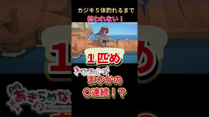 激レア魚まさかの連続釣り！#あつ森 #あつまれどうぶつの森 #カジキ