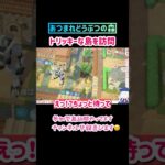 #あつ森 #あつまれどうぶつの森 #ゲーム実況 ・トリッキーなビスケッ島