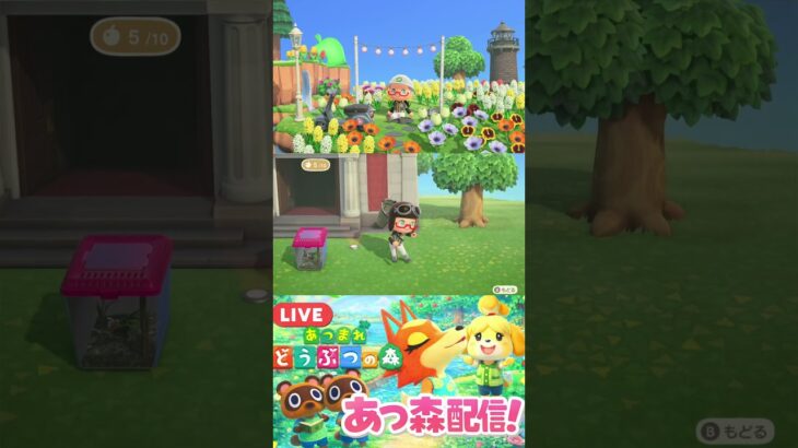 【あつ森】紙の上のコップ