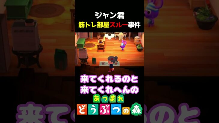 【あつ森】ジャン君、筋トレ部屋スルー事件