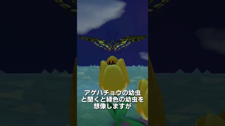 【あつ森】アゲハチョウの観察🦋