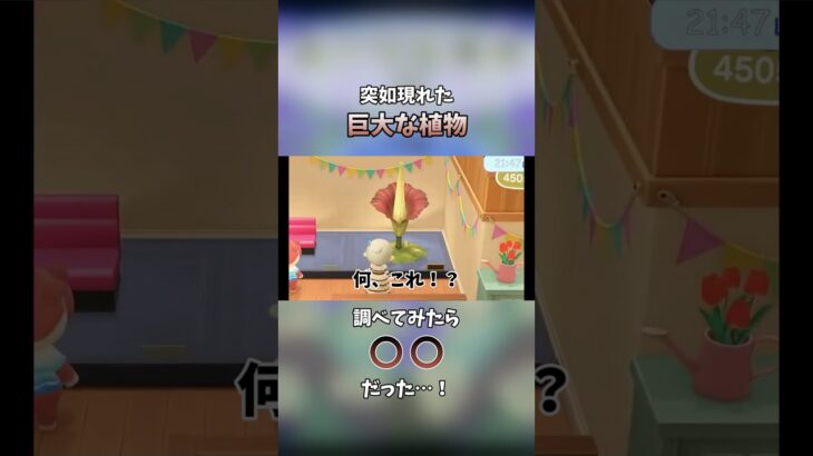 【#あつ森実況 】突如現れたデカい植物…なんだこれ？！