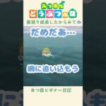 【あつ森】素潜りじょうずになってきたからみてみて👀#あつまれどうぶつの森