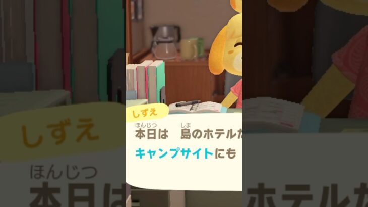 【あつ森】チャンス！！新しい住民が来たと思ったら…