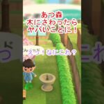 あつ森で木をゆするとヤバいことが起きる！【あつまれどうぶつの森】#あつ森 #あつまれどうぶつの森