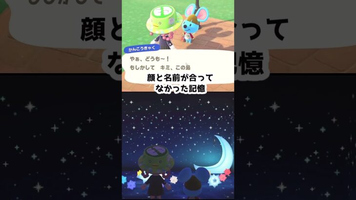 【あつ森】　ブロッコリーとアンチョビとラザニア