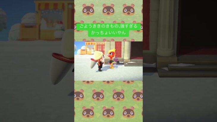 ヒノコからこれ貰ったんだけど当たりでは？ちゃみ@あつ森