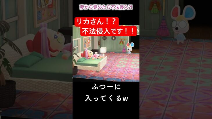 まさかの不法侵入？！[あつ森]