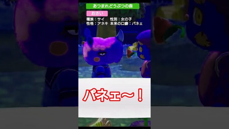 【#あつ森 】おさい【#あつまれどうぶつの森 】