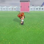 【あつ森】おはやいます！　初見さん大歓迎☆気軽にコメントしてね！