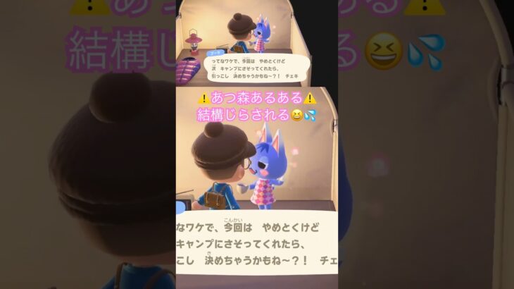 【あつ森あるある】お目当てのかわい子ちゃんを住人にしたくてアピるが、思わせぶりな態度取ってくるのに焦らされ、想像以上に心を弄ばれる😆💦 #あつ森 #あつまれどうぶつの森 #どうぶつの森 #ブーケ