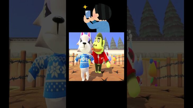 【神視点】このカメラ、ズルすぎる📱😈#あつ森 #落とし穴レース