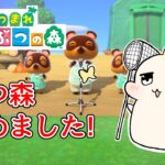 【あつ森】ちゃちゃまるキター！！