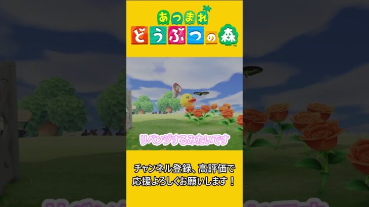 リチャード応援隊【あつ森】 #あつ森 #あつまれどうぶつの森 #ゲーム実況