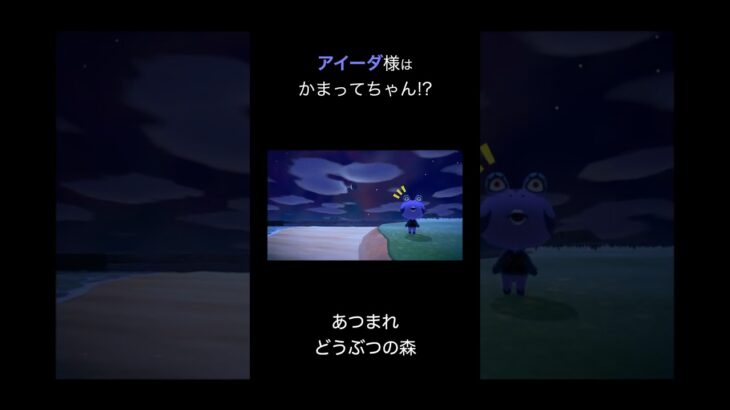 【あつ森】アイーダ様はかまってちゃん！？