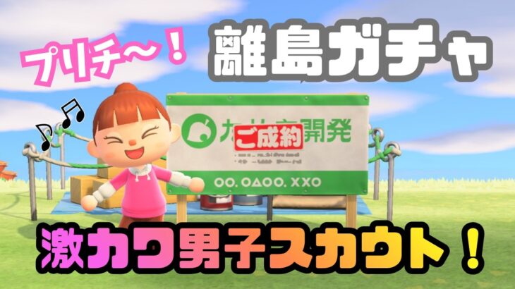 【あつ森】カワイイ男の子スカウトな離島ガチャ！