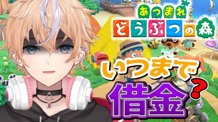 【あつまれ どうぶつの森】家！博物館！！借金！！！【生放送】