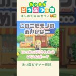 【あつ森】ニセモノのめいがを手に入れちゃった…！🦊🖼️#あつまれどうぶつの森