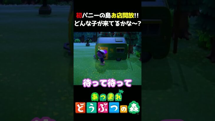 【あつ森】初パニーの島お店開放でわくわく訪問した結果