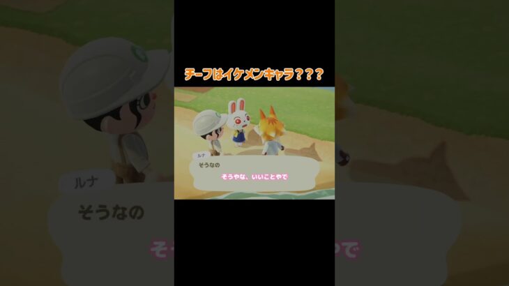 【あつ森】チーフってイケメン担当？