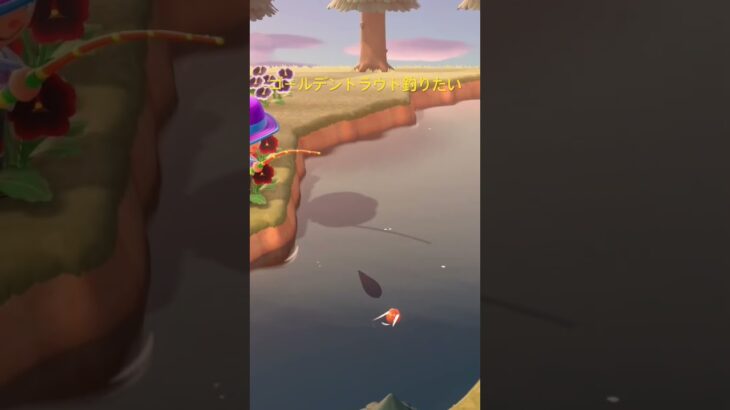 ゴールデントラウト！ #人気になりたい #ばずれ #あつ森#釣り#ゴールデントラウト
