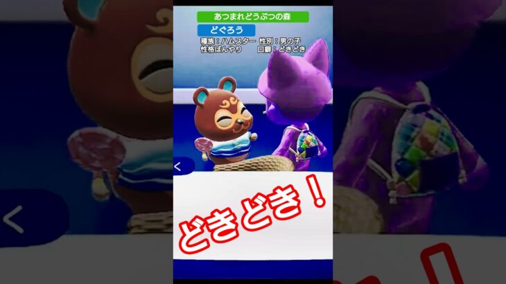 【#あつ森 】どぐろう【#あつまれどうぶつの森 】