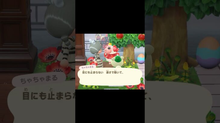 【あつ森】ちゃちゃまるの相談に乗るジュンくん  #あつまれどうぶつの森  #あつ森ちゃちゃまる  #あつ森 ジュン