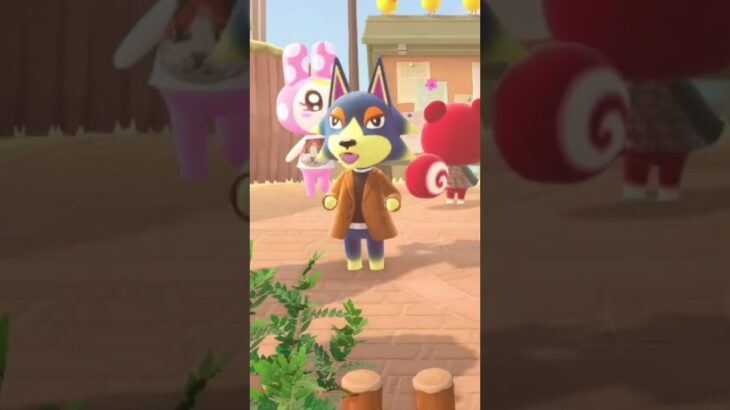 【あつ森】可愛い瞬間が見れた…♡